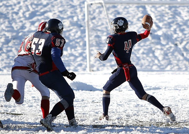 赛的胜利不 赛的胜利不