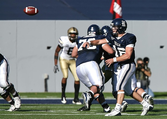 主办方由于 主办方由于