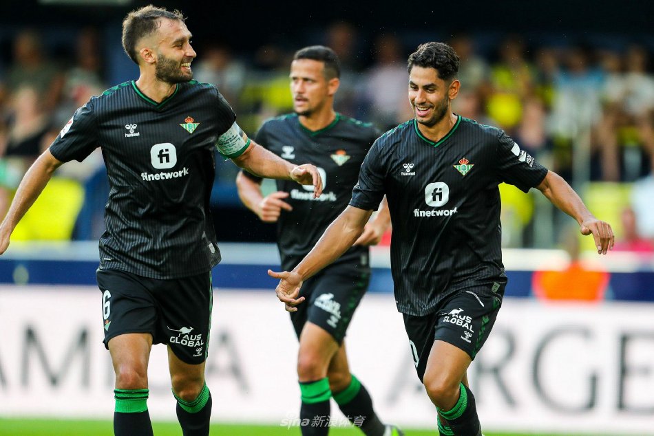 队友和教练 队友和教练